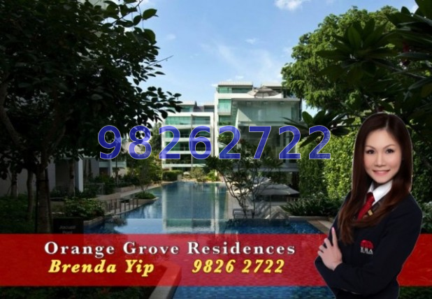Orange Grove Residences thumbnail photo